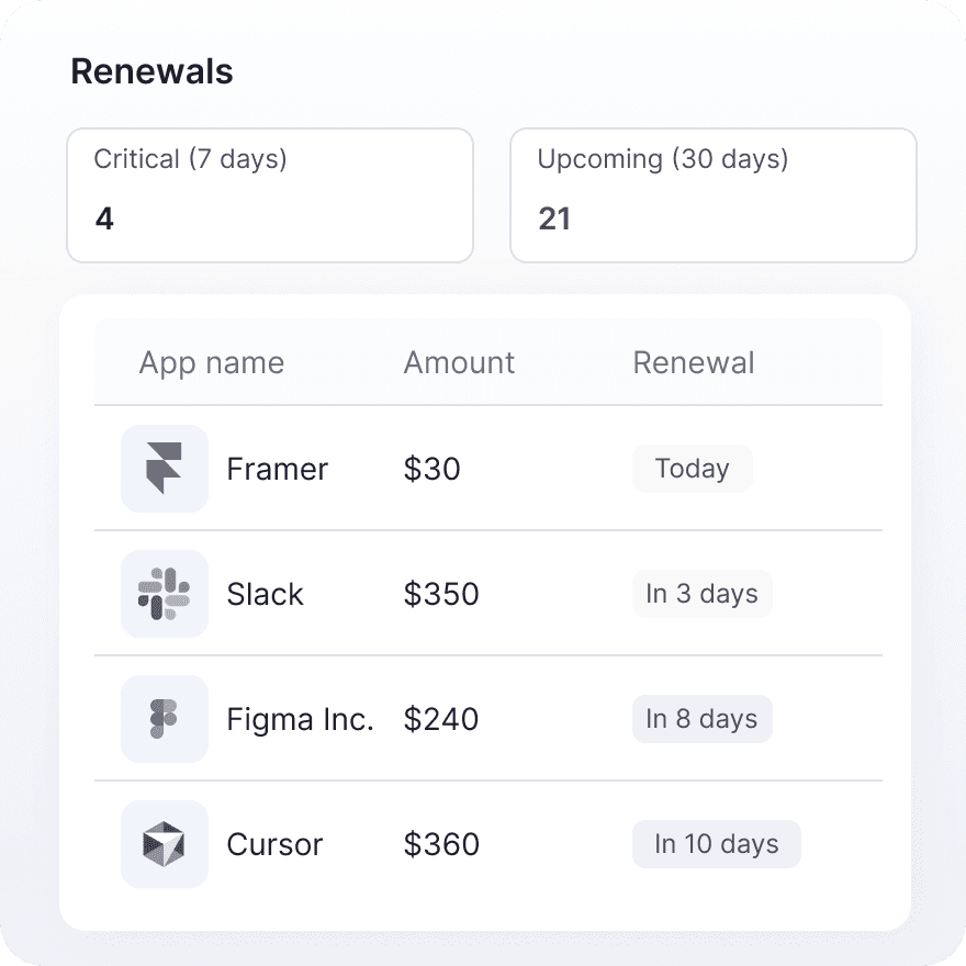 CFO reviewing renewal and spend reports